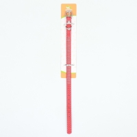 Ошейник рифленый с 2 рядами клепок, 33 х 1,2 см, ОШ 23-29, красный