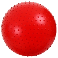 Фитбол ONLYTOP, d=55 см, 800 г, массажный, цвета МИКС Фитбол ONLYTOP, d=55 см, 800 г, массажный, цвета МИКС