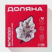 Блюдо сервировочное Доляна «Лимон», 21×15 см, цвет белый Блюдо сервировочное Доляна «Лимон», 21×15 см, цвет белый