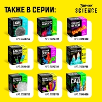 Набор для опытов &laquo;Светофор в пробирке&raquo;