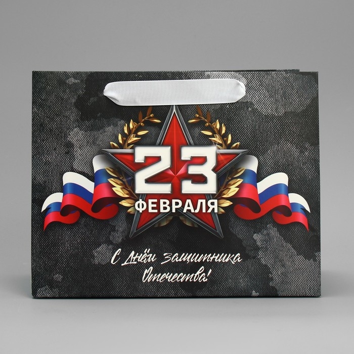 Пакет подарочный ламинированный вертикальный, упаковка, &laquo;23 февраля&raquo;, MS 23 х 18 х 10 см