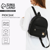 Рюкзак школьный из искусственной кожи с карманом «Корги» 27х23х10 см Рюкзак школьный из искусственной кожи с карманом «Корги» 27х23х10 см