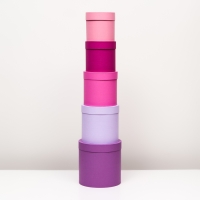 Набор шляпных коробок 5 в 1, сиреневый, 23 х 23-15 х 15 см Набор шляпных коробок 5 в 1, сиреневый, 23 х 23-15 х 15 см