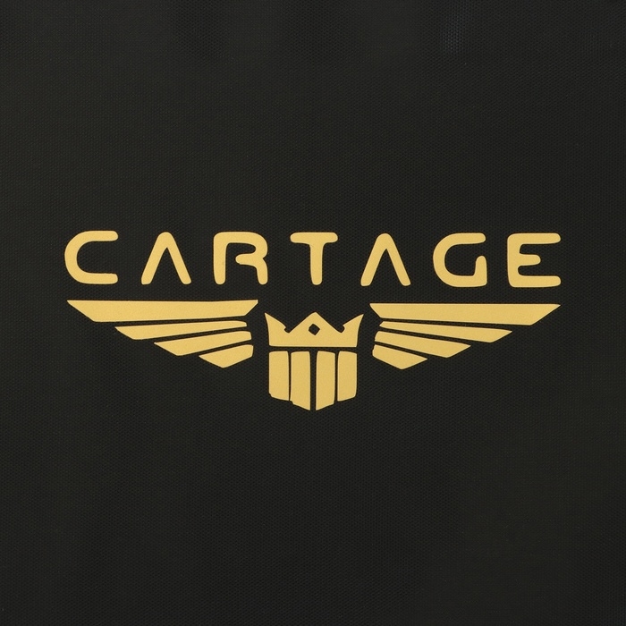 Термосумка Cartage Т-25, черная, 30 л