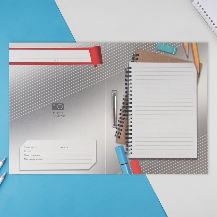 Папка школьная с креплением &laquo;Портфолио школьника&raquo;, 5 листов-разделителей, 21,5 х 30 см.