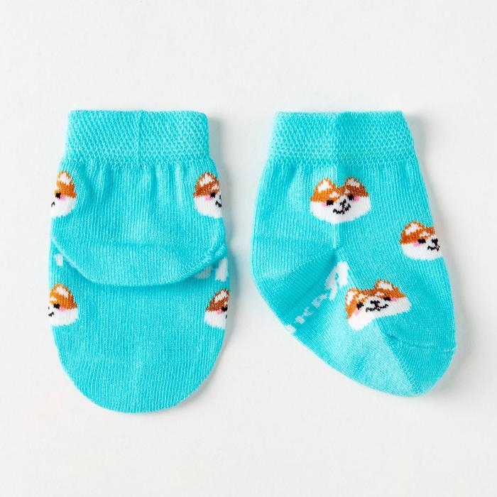 Набор носков Крошка Я &laquo;Корги&raquo;, 2 пары, 12-14