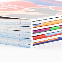 Набор тетрадей 36 листов, 10 предметов, внутренний блок №1 &laquo;1 сентября: Мемы&raquo;