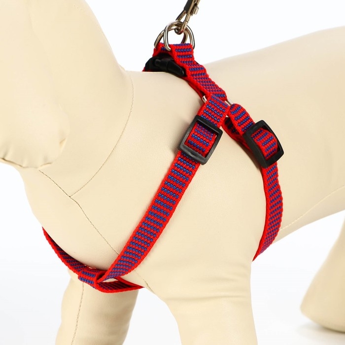 Комплект амуниции рельефный, поводок 120 х 1,5 см, ОГ 36-49 см, красно-синий Комплект амуниции рельефный, поводок 120 х 1,5 см, ОГ 36-49 см, красно-синий