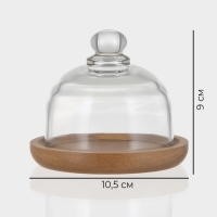 Лимонница Magistro &laquo;Альпика&raquo;, d=10,5 см