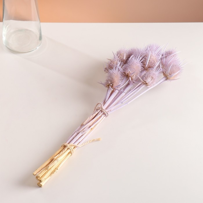 Набор сухоцветов Набор сухоцветов "Ворсянка", банч 7-8 шт, 50 гр, длина 50 (+/- 6 см), сиреневый