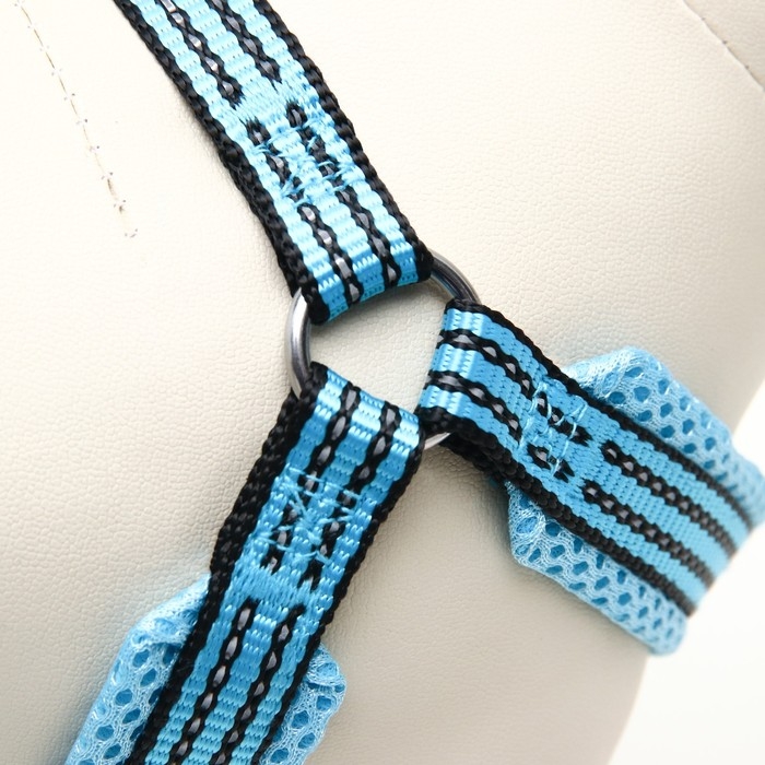 Шлейка супермягкая со светоотражающей прошивкой, размер М, обхват 32-63 см, голубая Шлейка супермягкая со светоотражающей прошивкой, размер М, обхват 32-63 см, голубая