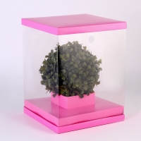 Коробка для цветов с вазой и PVC окнами складная, 23 х 30 х 23 см, однотонный, розовый Коробка для цветов с вазой и PVC окнами складная, 23 х 30 х 23 см, однотонный, розовый