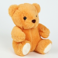 Мягкая игрушка с пледом &laquo;Медведь&raquo;