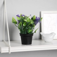 Бонсай в горшке "Кислица люкс" 7х14 см, микс Бонсай в горшке "Кислица люкс" 7х14 см, микс