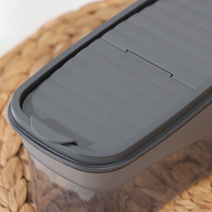 Ёмкость для сыпучих продуктов «Бест», 1 л, 9,5×19×9,5 см, прозрачный, крышка серая Ёмкость для сыпучих продуктов «Бест», 1 л, 9,5×19×9,5 см, прозрачный, крышка серая