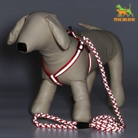 Комплект "Плетенка", флуоресцентный, поводок 115 х 1 см, ОГ 32-48 х 1,5 см, красный