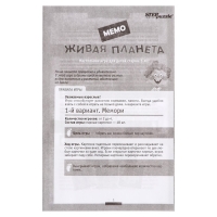 Дорожная игра «Живая планета» Дорожная игра «Живая планета»