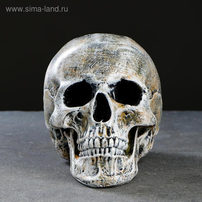 Подставка под ёрш Подставка под ёрш "Череп" 16х15х22см (ершик н/сталь)