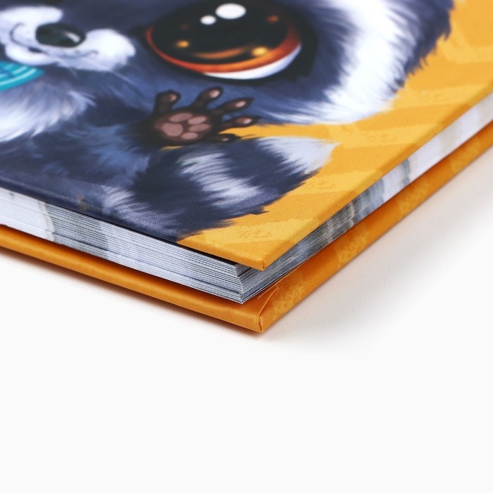 Записная книжка на замочке &laquo;Енотик&raquo;, А6, 50 листов .