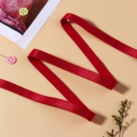 Резинка для бретелей, блестящая, 10 мм, 10 &plusmn; 0,5 м, цвет красный