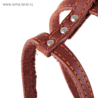 Шлейка кожаная "Прогулочная", 1,5 см, ОШ35-50 см, ОГ 60-68 см, чёрный Шлейка кожаная "Прогулочная", 1,5 см, ОШ35-50 см, ОГ 60-68 см, чёрный