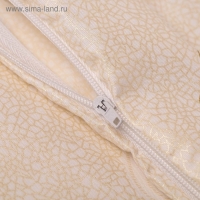 Наволочка-наперник 70х70 см на молнии Огурцы беж