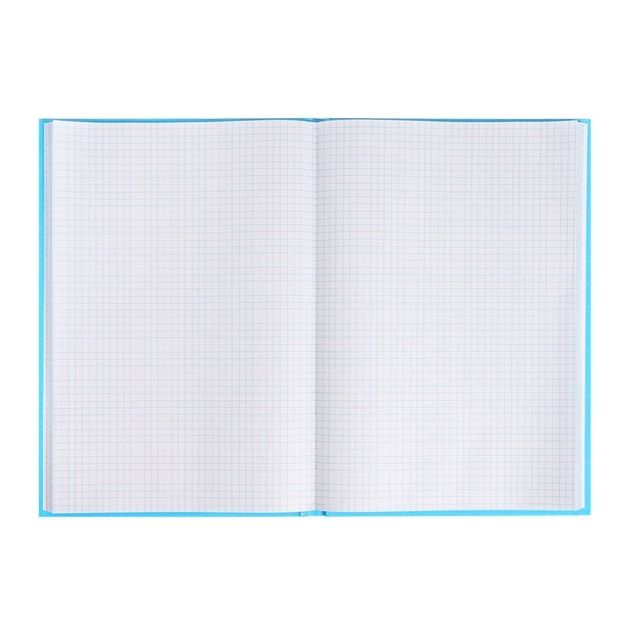 Книга учета, 96 листов, обложка картон 7БЦ, блок ГАЗЕТНЫЙ, клетка, цвет синий Книга учета, 96 листов, обложка картон 7БЦ, блок ГАЗЕТНЫЙ, клетка, цвет синий