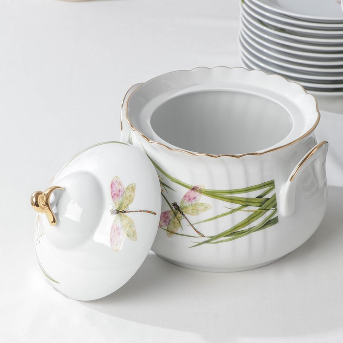 Сервиз столовый фарфоровый «Стрекоза», 37 предметов, 2 вида тарелок Сервиз столовый фарфоровый «Стрекоза», 37 предметов, 2 вида тарелок