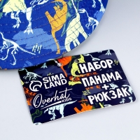 Детский набор "Динозавр" (панама+ мешок для обуви), р-р. 52-54 см