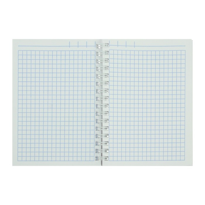 Записная книжка А6, 80 листов на гребне METALLIC, обложка бумвинил, серебро