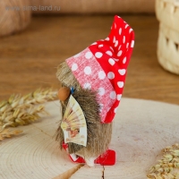 Оберег &laquo;Домовой&raquo;, с рублями, 10 см, микс