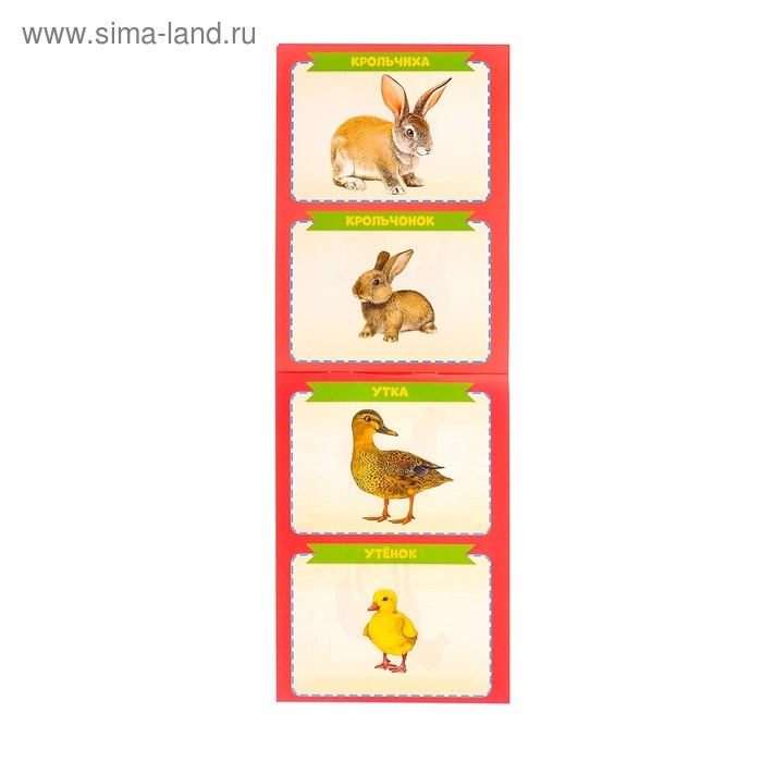 Книги развивающие набор &laquo;Растём вместе&raquo;, 8 шт. по 20 стр.