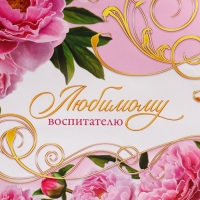 Пакет подарочный ламинированный, упаковка, &laquo;Воспитателю&raquo;, ML 21 х 25 х 8 см