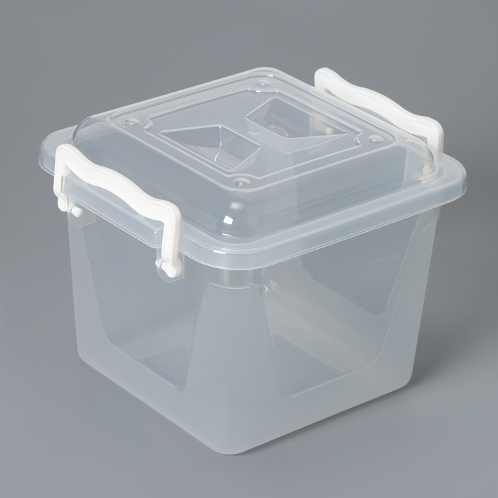 Контейнер для хранения с крышкой, 4 л, 19,5&times;19,5&times;17,5 см, цвет прозрачный