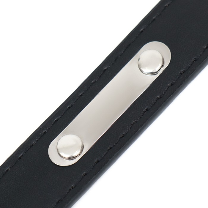 Ошейник из искусственной кожи с шильдом под гравировку, 2,5 х 52 см, ОШ 35-45 см, чёрный