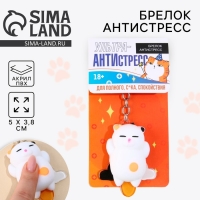Брелок мялка для ключей &laquo;Кот&raquo; 5 х 3,8 см