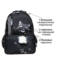 Рюкзак школьный, 37 х 26 х 13 см, эргономичная спинка, Calligrata ОРТ "Енотик" Рюкзак школьный, 37 х 26 х 13 см, эргономичная спинка, Calligrata ОРТ "Енотик"