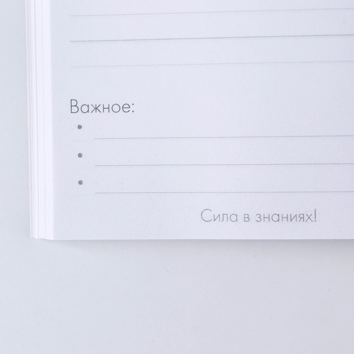 Подарочный набор &laquo;Учителю: УЧИТЕЛЬ&raquo; ежедневник и 2 шт ручки( шариковые, 1 мм, синяя,красная паста)