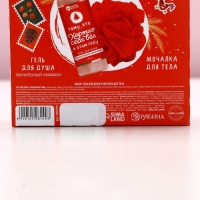 Подарочный набор ЧИСТОЕ СЧАСТЬЕ «Счастливого Нового Года», гель для душа 100 мл и мочалка для тела Подарочный набор ЧИСТОЕ СЧАСТЬЕ «Счастливого Нового Года», гель для душа 100 мл и мочалка для тела