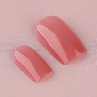 Накладные ногти «Тёмный беж», 24 шт, клеевые пластины, форма квадрат, цвет глянцевый темно-бежевый Накладные ногти «Тёмный беж», 24 шт, клеевые пластины, форма квадрат, цвет глянцевый темно-бежевый