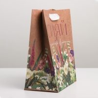 Пакет подарочный крафтовый вертикальный, упаковка, &laquo;Сияй&raquo;, MS 18 х 23 х 8 см