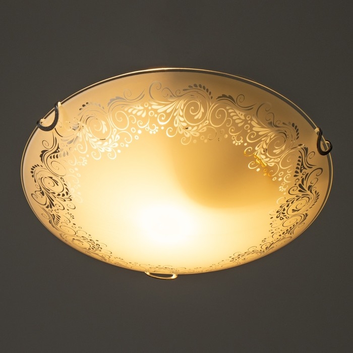 Светильник настенно-потолочный Светильник настенно-потолочный "Черемша" 1x60Вт E27 д.25см.