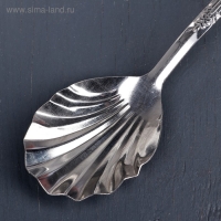 Ложка гарнирная из нержавеющей стали &laquo;Королевство&raquo;, 30 мл, h=23 см, цвет серебряный