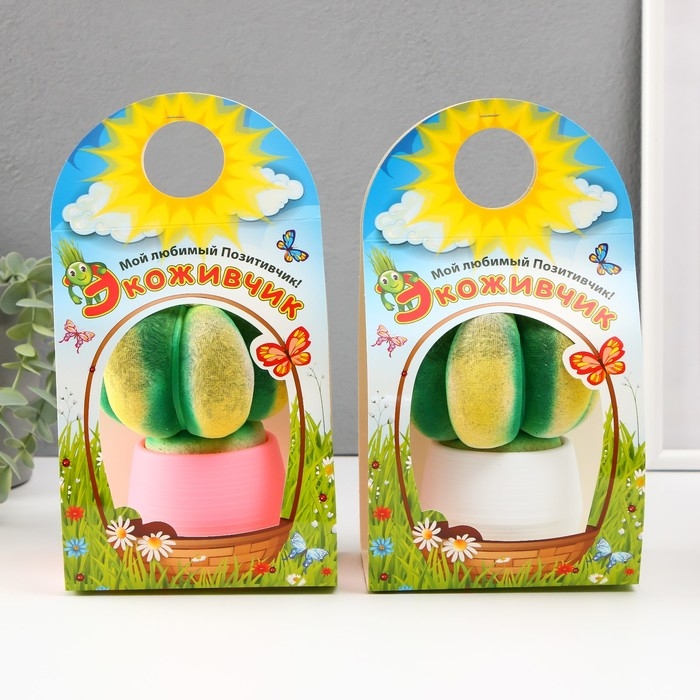 Растущий подарок травка Экоживчик "Кактус Астрофитум" МИКС