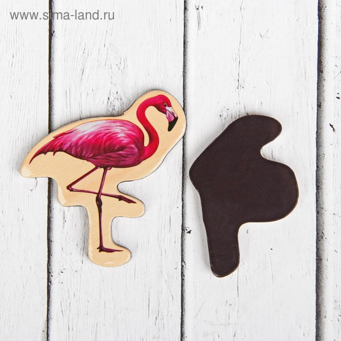 Деревянные магниты &laquo;Дикие животные&raquo;, набор 20 шт.