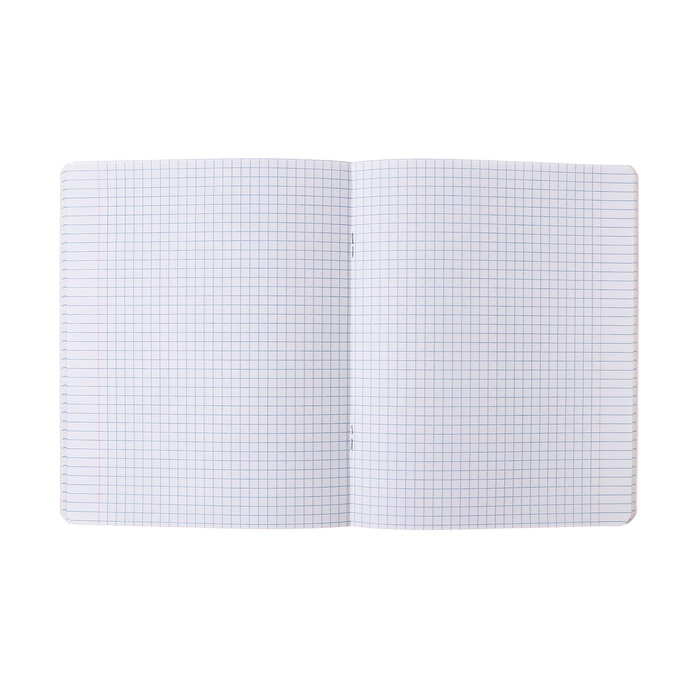 Тетрадь 48 листов в клетку "Аниме глаза", обложка мелованный картон, выборочный УФ-лак, тиснение фольгой, блок 70 г/м2, МИКС