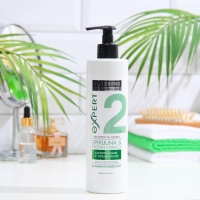 Бальзам для волос PROFESSIONAL CARE «Питание и защита» GLOSSING, 500 мл Бальзам для волос PROFESSIONAL CARE «Питание и защита» GLOSSING, 500 мл