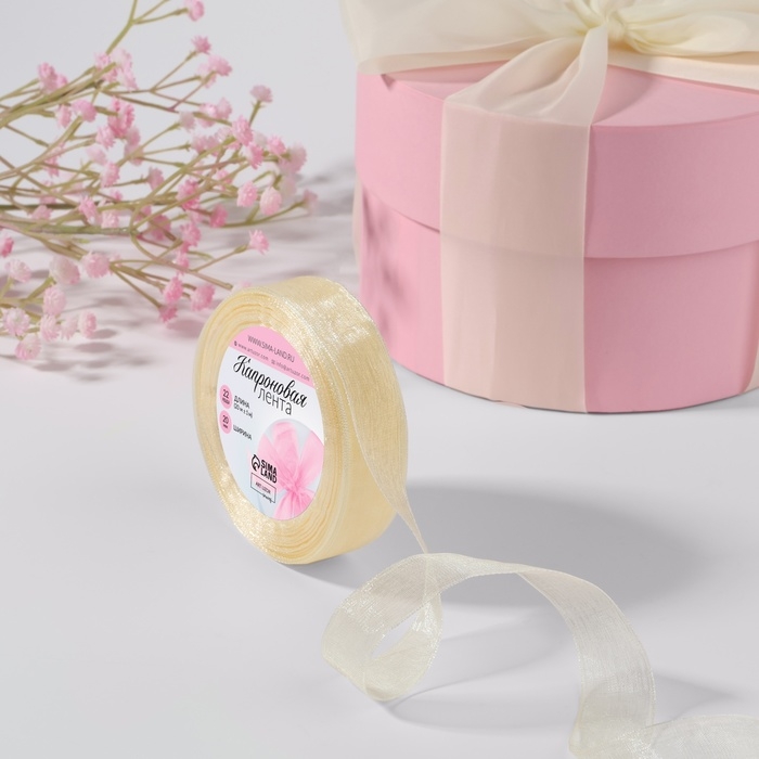 Лента капроновая, 20 мм, 20 &plusmn; 1 м, цвет слоновая кость №08