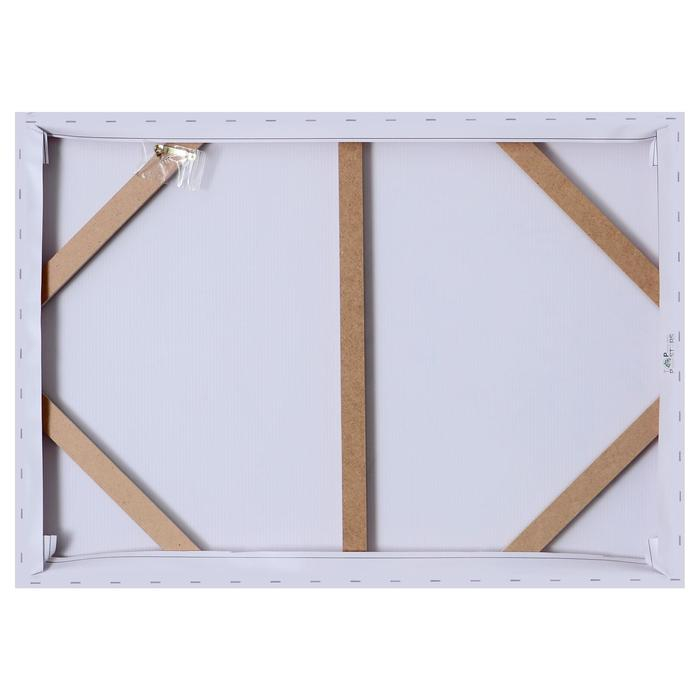 Картина на холсте "Загадка" 50х70 см