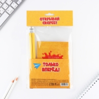 Подарочный набор блокнот А6, карандаши (2 шт.) и восковые мелки (4 шт.) «Ярких эмоций» Подарочный набор блокнот А6, карандаши (2 шт.) и восковые мелки (4 шт.) «Ярких эмоций»